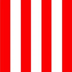 Size 3-1/2 Port Flag With Line Snap And Ring