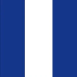 Size 6 Number 9 Signal Flag With Line Snap And Ring